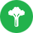 Celery Icon